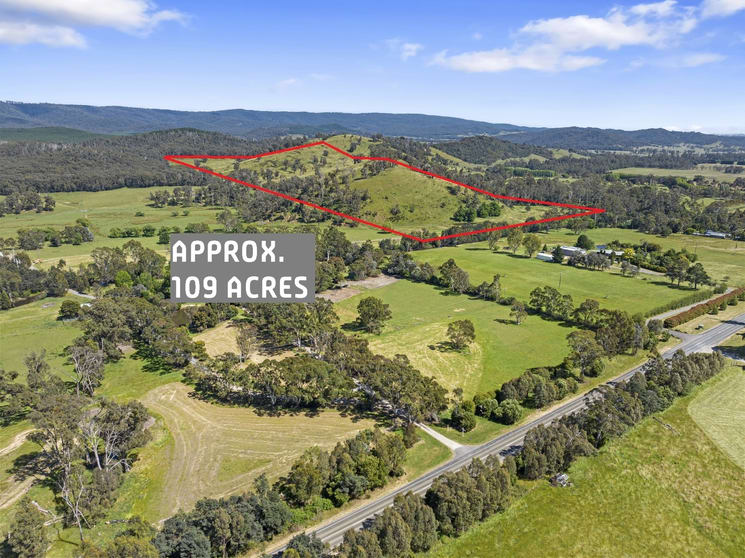 Click to view all images 2561 Maroondah Highway Buxton VIC 3711 - Image 2