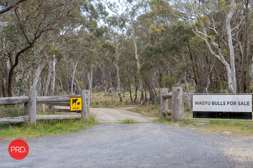 Click to view all images 3578 Kings Highway Bungendore NSW 2621 - Image 2