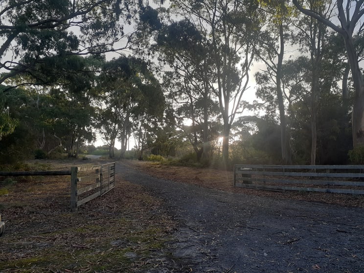 Click to view all images 290 Red Hut Road Lymwood TAS 7256 - Image 3
