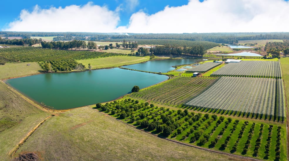 Click to view all images 503 Seven Day Road (Jardee) Manjimup WA 6258 - Image 1