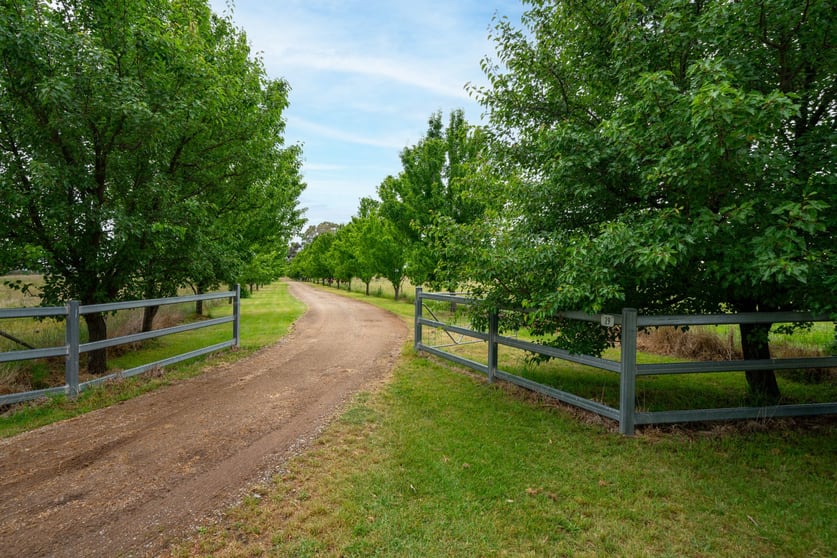 Click to view all images 29 Kelly Lane Spring Terrace NSW 2798 - Image 2