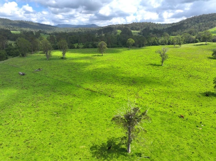Click to view all images 799 Ghinni Ghi Road Kyogle NSW 2474 - Image 2