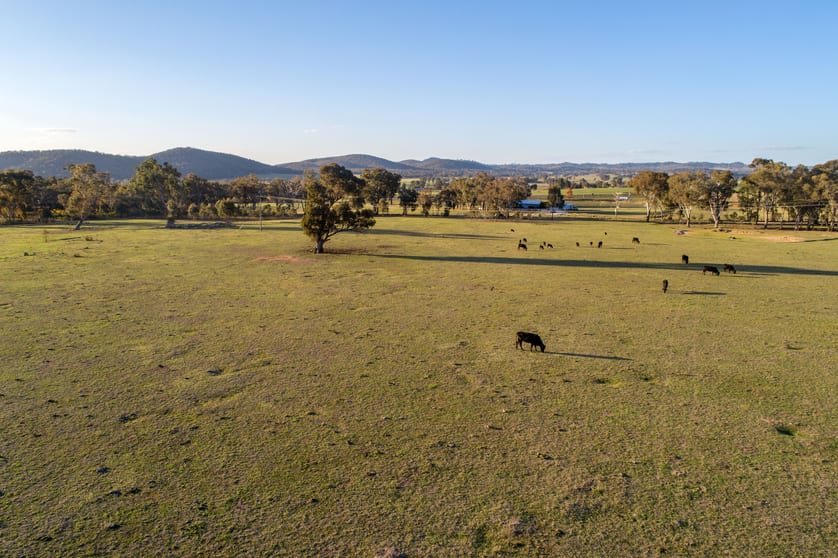 Click to view all images 131 Buckaroo Lane Mudgee NSW 2850 - Image 2
