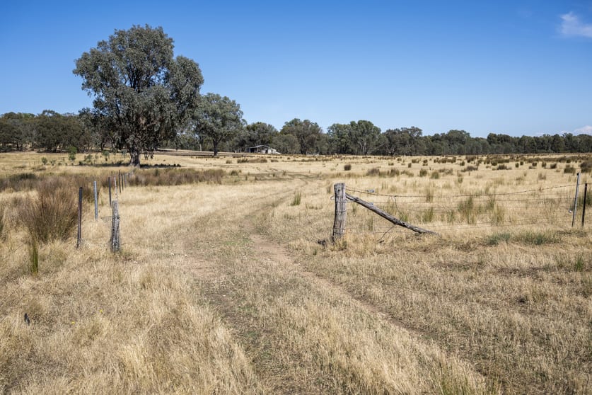 Click to view all images CA92 Whites Road Baddaginnie VIC 3670 - Image 3