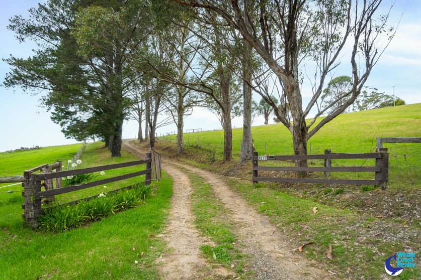 Click to view all images 8217 Princes Highway Central Tilba NSW 2546 - Image 2