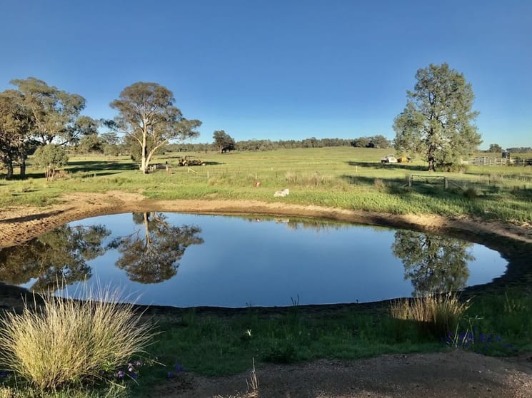 Click to view all images 72 Bourkes and Halls road Binnaway NSW 2395 - Image 1