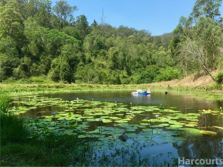 Click to view all images 173 Dhalayi Glade Bellbrook NSW 2440 - Image 3