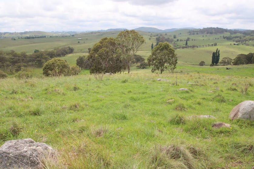 Click to view all images Lot 1 Kochs Road Tenterfield NSW 2372 - Image 2