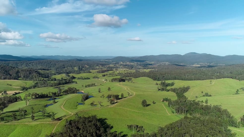 Click to view all images 423 Cowal Creek Road Bellangry NSW 2446 - Image 2