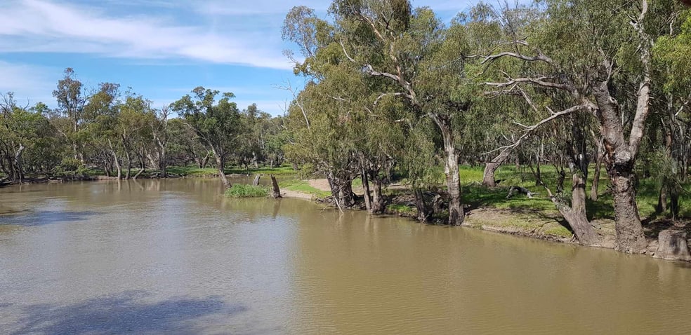 Click to view all images 2864 Lachlan Valley Way Lake Cargelligo NSW 2672 - Image 3