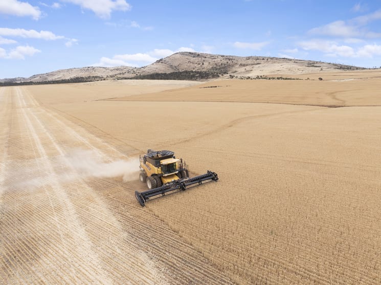 Click to view all images 'Sunny Rise' Booleroo Road Pekina SA 5431 - Image 2