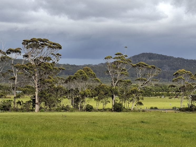 Click to view all images 38491 South Western Highway Broke WA 6398 - Image 2