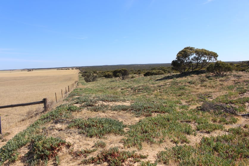 Click to view all images S22 Tori Hills Road Sandalwood SA 5309 - Image 3