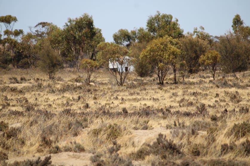 Click to view all images Lot 3 Rifle Range Rd Dumbleyung WA 6350 - Image 3