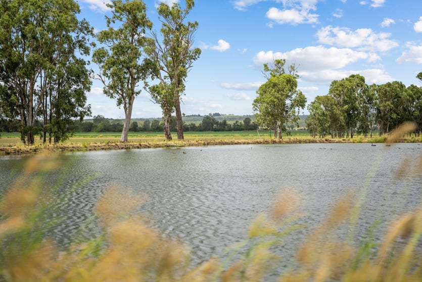 Click to view all images 338 Darley Estate Road Kunioon QLD 4615 - Image 1