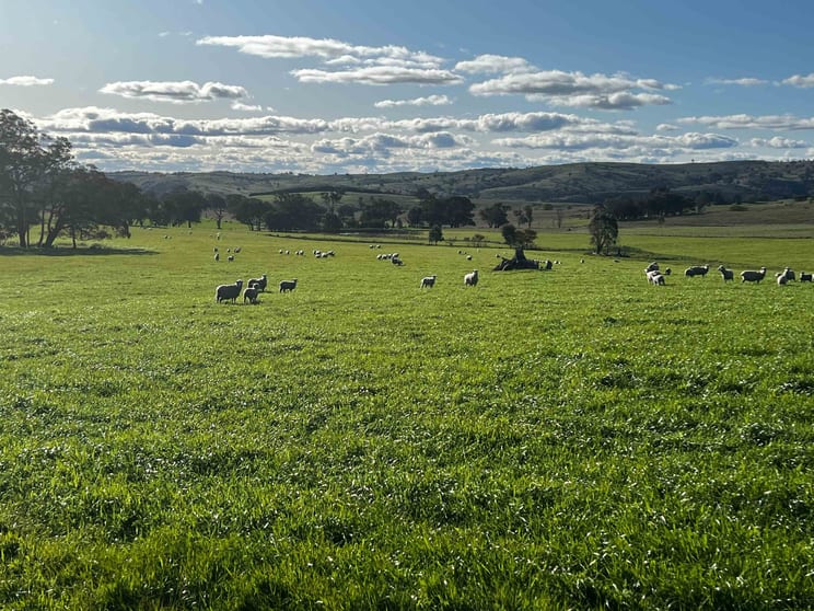 Click to view all images Gunning NSW 2581 - Image 3
