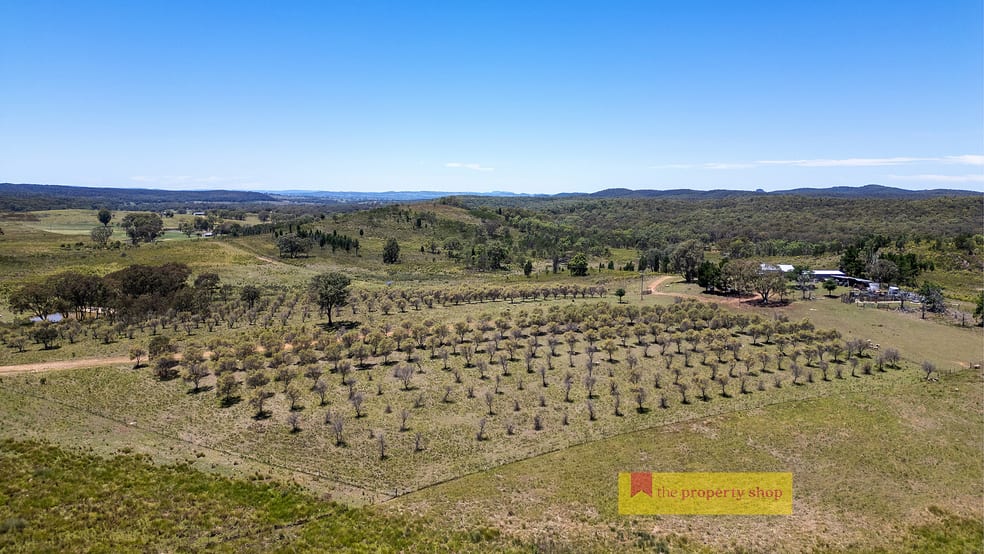 Click to view all images 1732 Spring Ridge Road Gulgong NSW 2852 - Image 1