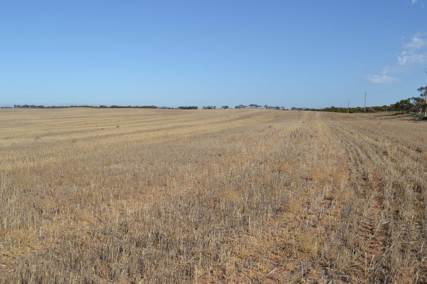 Click to view all images Lot 10 Simpson Road Kyancutta SA 5651 - Image 2