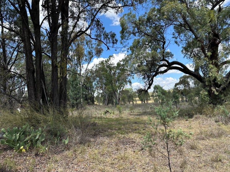 Click to view all images 215 Werribee Road Coolah NSW 2843 - Image 2
