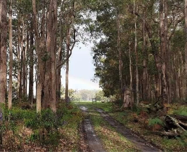 Click to view all images Lot 106 Wetherall Road Quinninup WA 6258 - Image 1