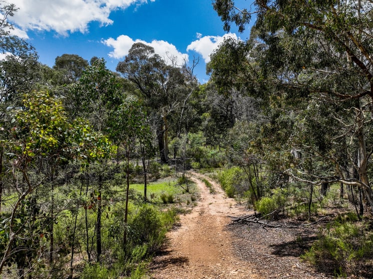 Click to view all images 1474 Bald Ridge Road Bald Ridge NSW 2795 - Image 3
