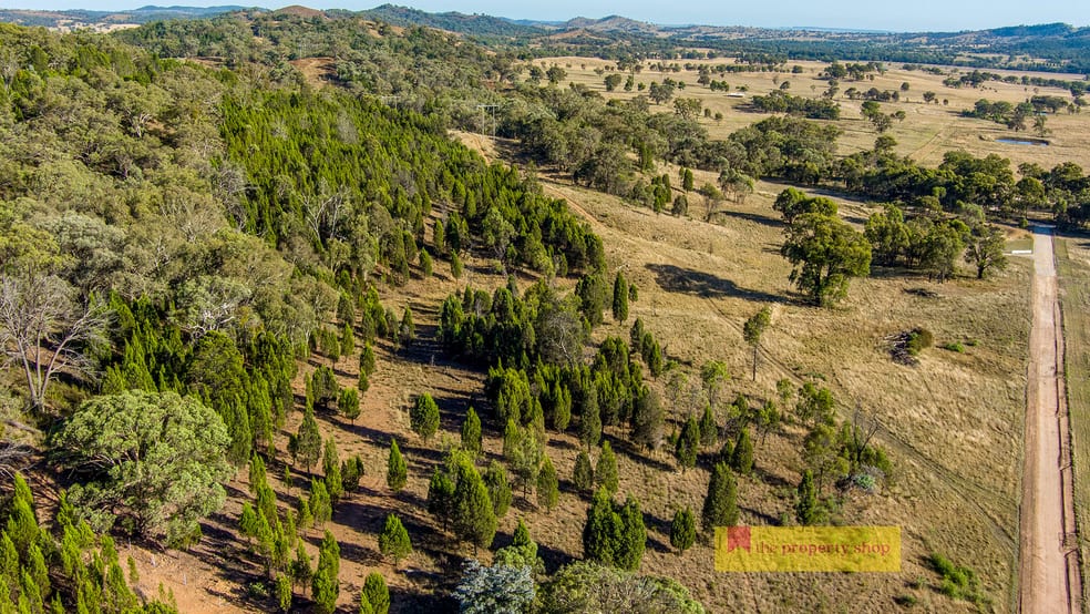 Click to view all images 303 Lower Piambong Road Mudgee NSW 2850 - Image 3