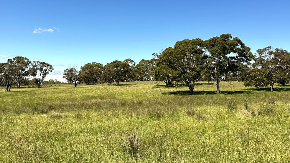 Parcel 16/371 Mayfield Road Braidwood NSW 2622 - Image 2