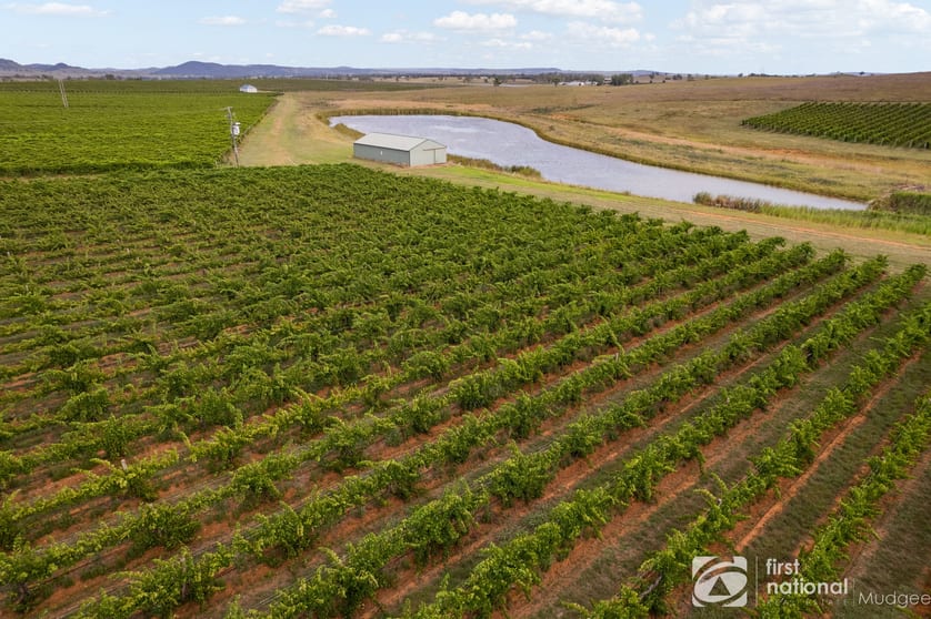 Click to view all images 46 Shiraz Drive Gulgong NSW 2852 - Image 2