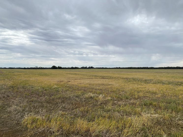 Click to view all images Donald-Stawell Road Rich Avon East VIC 3480 - Image 2