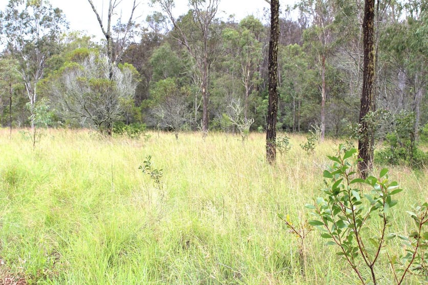 Click to view all images Lot 64 Nystrom Road Booie QLD 4610 - Image 1