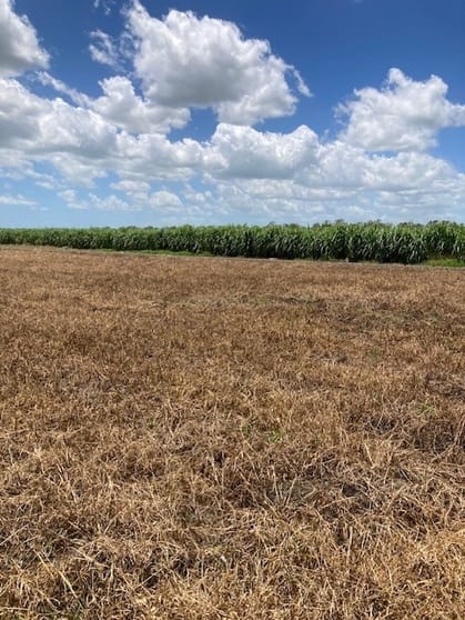 Click to view all images 0 Baudino Road Upper Haughton QLD 4809 - Image 2