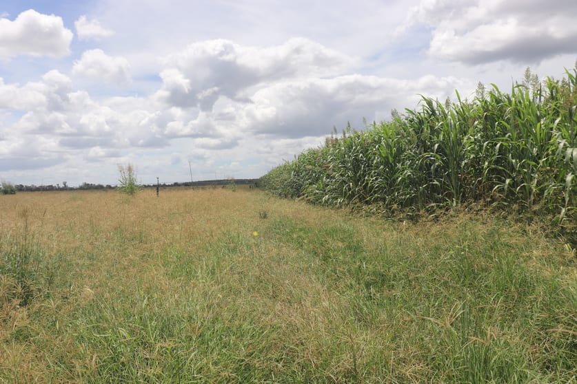 Click to view all images 296 O'Bil Bil Road, Malmoe Eidsvold QLD 4627 - Image 3