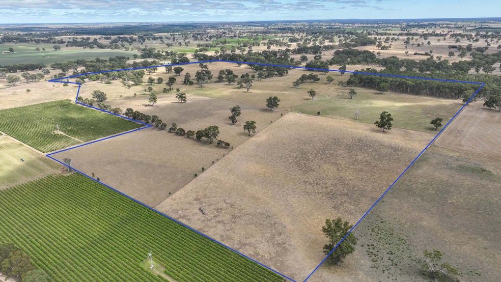Click to view all images 312 Edwards Road, Koppamurra Naracoorte SA 5271 - Image 3