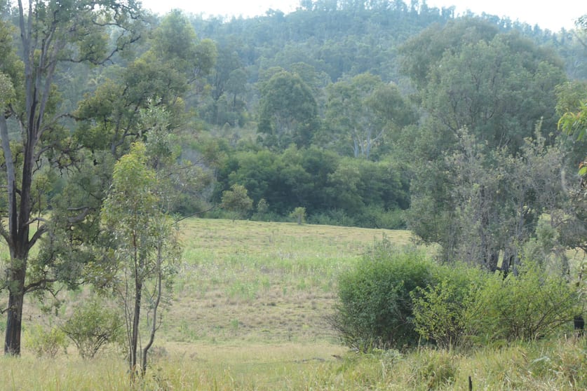 Click to view all images 107/400 Phillips Swamp Road Busbys Flat NSW 2469 - Image 3