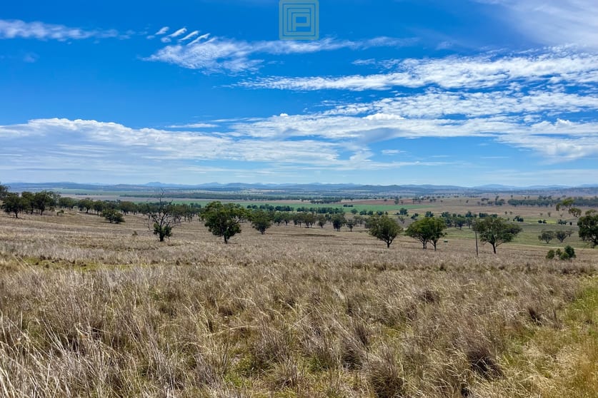 Click to view all images 186 Little Jacks Creek Road Willow Tree NSW 2339 - Image 3