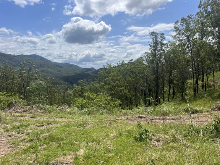 Click to view all images Nowendoc Road Caffreys Flat NSW 2424 - Image 1