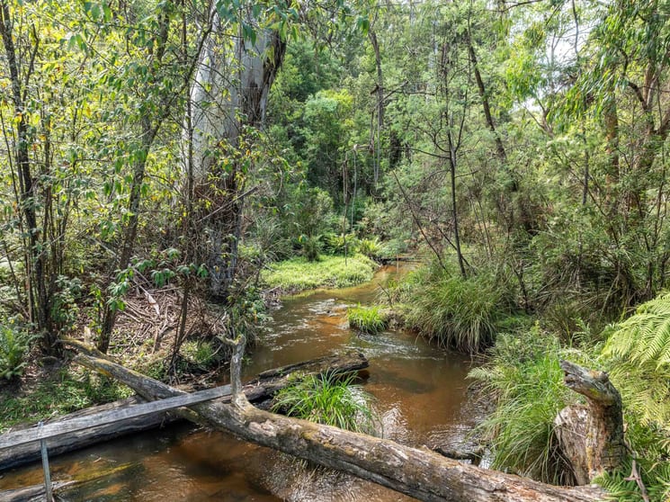 Click to view all images 365 Beenak Road Yellingbo VIC 3139 - Image 2