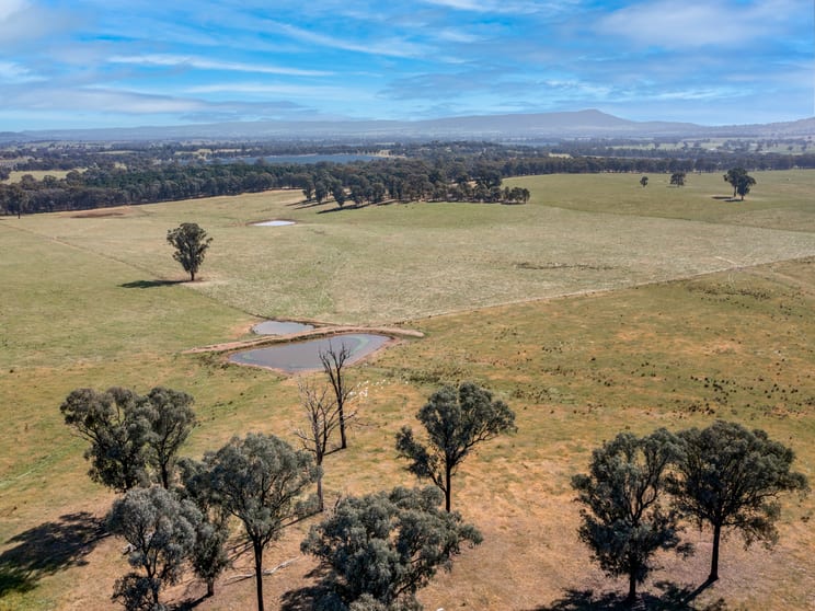 Click to view all images Eleven Mile Creek Road Glenrowan West VIC 3675 - Image 2