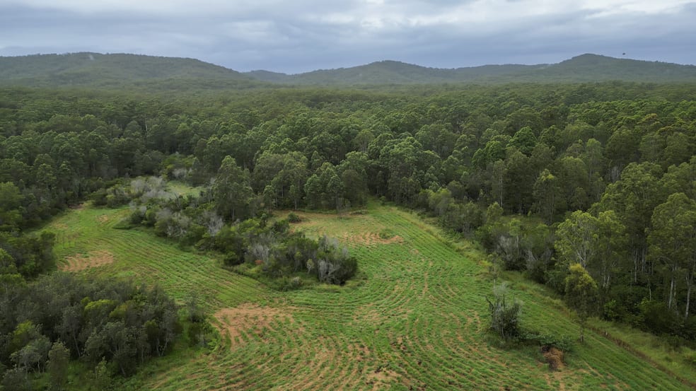 Click to view all images 781 Firth Heinz Road Pillar Valley NSW 2462 - Image 3
