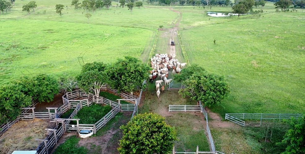 Click to view all images 'Aura Park' North Pattens Road, Boynewood Mundubbera QLD 4626 - Image 3
