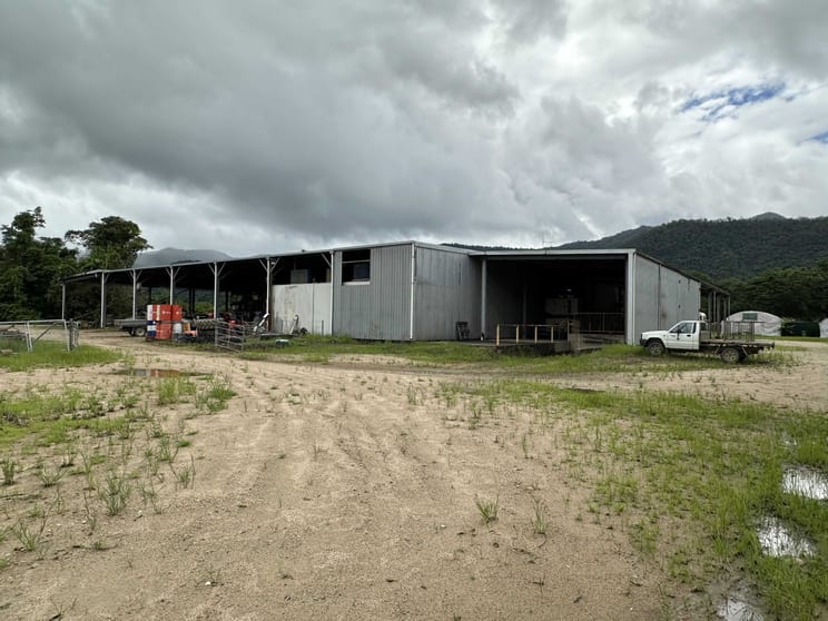 Click to view all images 212 Tea Plantation Road Jarra Creek QLD 4854 - Image 1