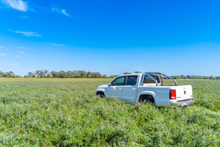 Click to view all images Kangarooby Road Gooloogong NSW 2805 - Image 3