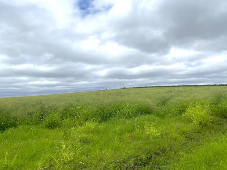 Click to view all images Lot 224 Schellbachs Road Kingaroy QLD 4610 - Image 1