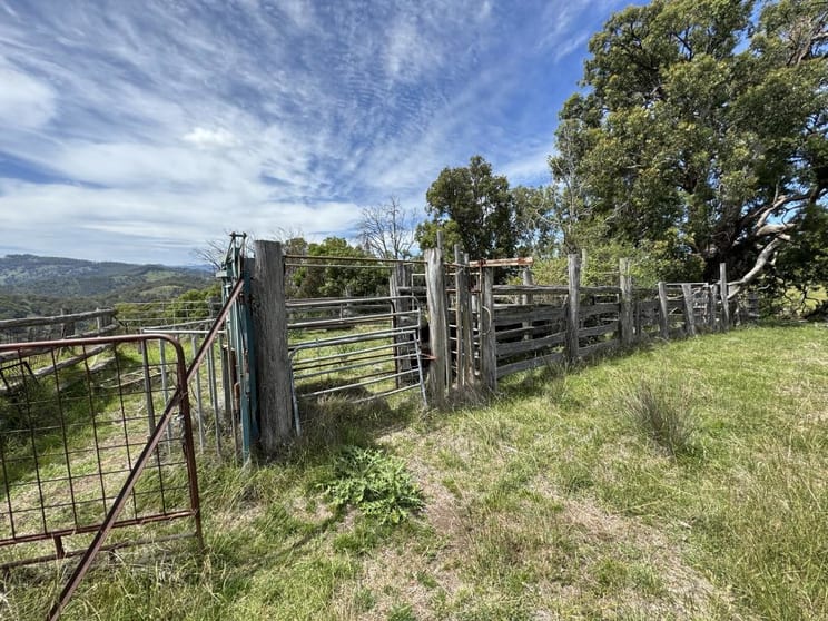 Click to view all images Coonawarra Stewarts Brook Road Stewarts Brook NSW 2337 - Image 3