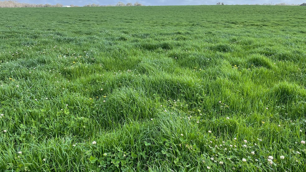 Click to view all images Caluka Farms, 345 Healy Road Narrikup WA 6326 - Image 2