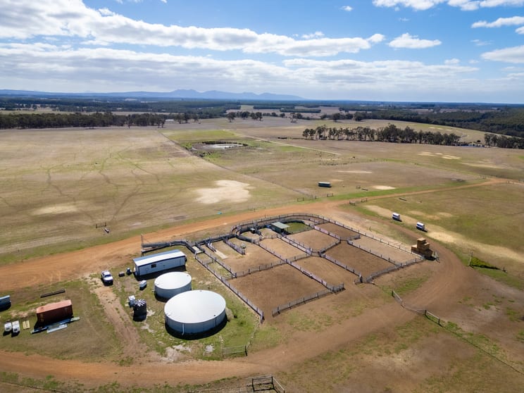 Click to view all images Caluka Farms, 345 Healy Road Narrikup WA 6326 - Image 3
