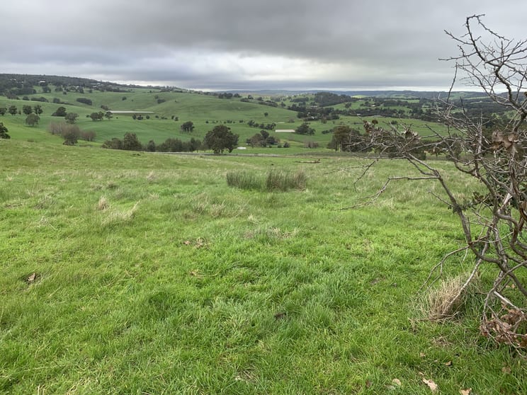 177 Pile Road Henty WA 6236 - Image 2