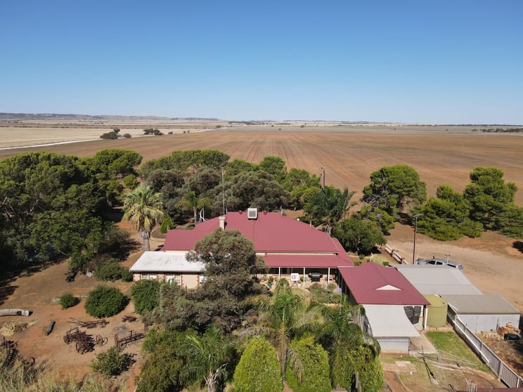 Click to view all images 377 Milcowie Rd Nurom SA 5523 - Image 2