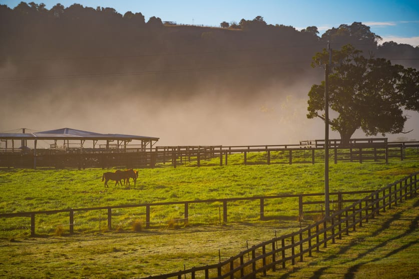 Click to view all images Abbotts Falls Road Wingham NSW 2429 - Image 2