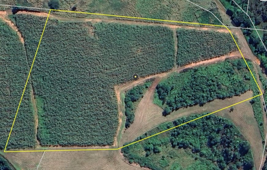 Click to view all images 36 Bonso Access Drive East Russell QLD 4861 - Image 1